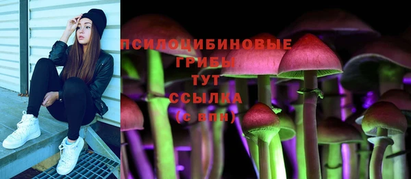 твердый Бронницы