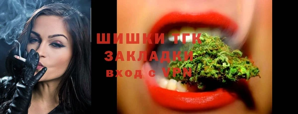 трава Бородино