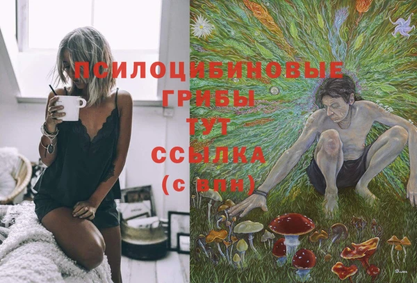 трава Бородино