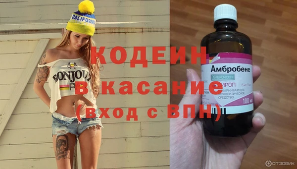 трава Бородино